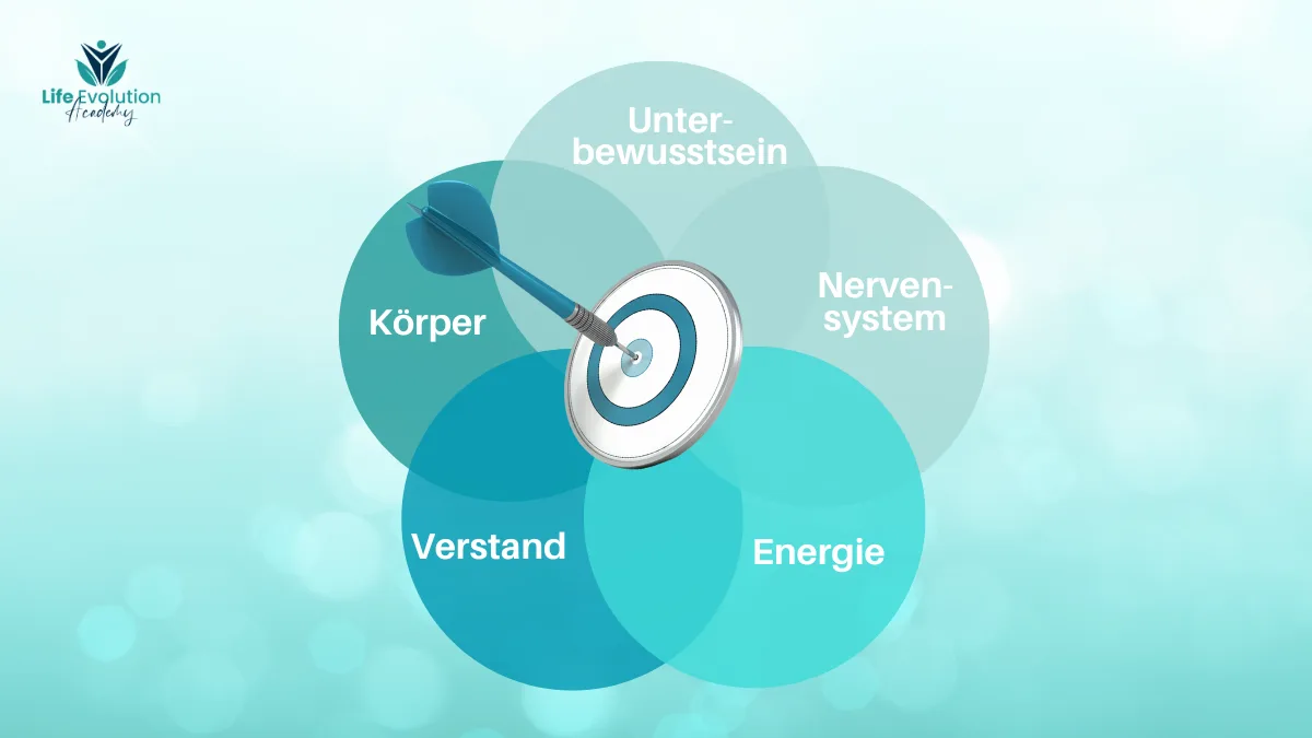 Deep Impact Transformation Kurs - Körpersysteme Deep Impact Transformation Kurs - Körpersysteme