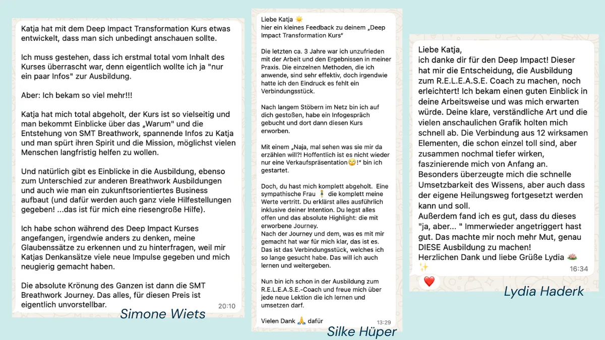 SMT Breathwork - Deep Impact Transformation Kurs Erfahrungen (1) Deep Impact Transformation Kurs Erfahrungen